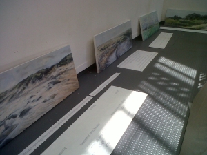 Judith Tucker and Harriet Tarlo - paintings and poetry awaiting application ...