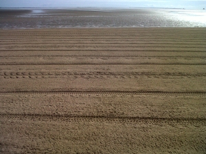 Tidy sand
